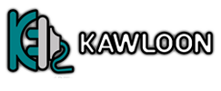 KAWLOON NETWORKS SYSTEM